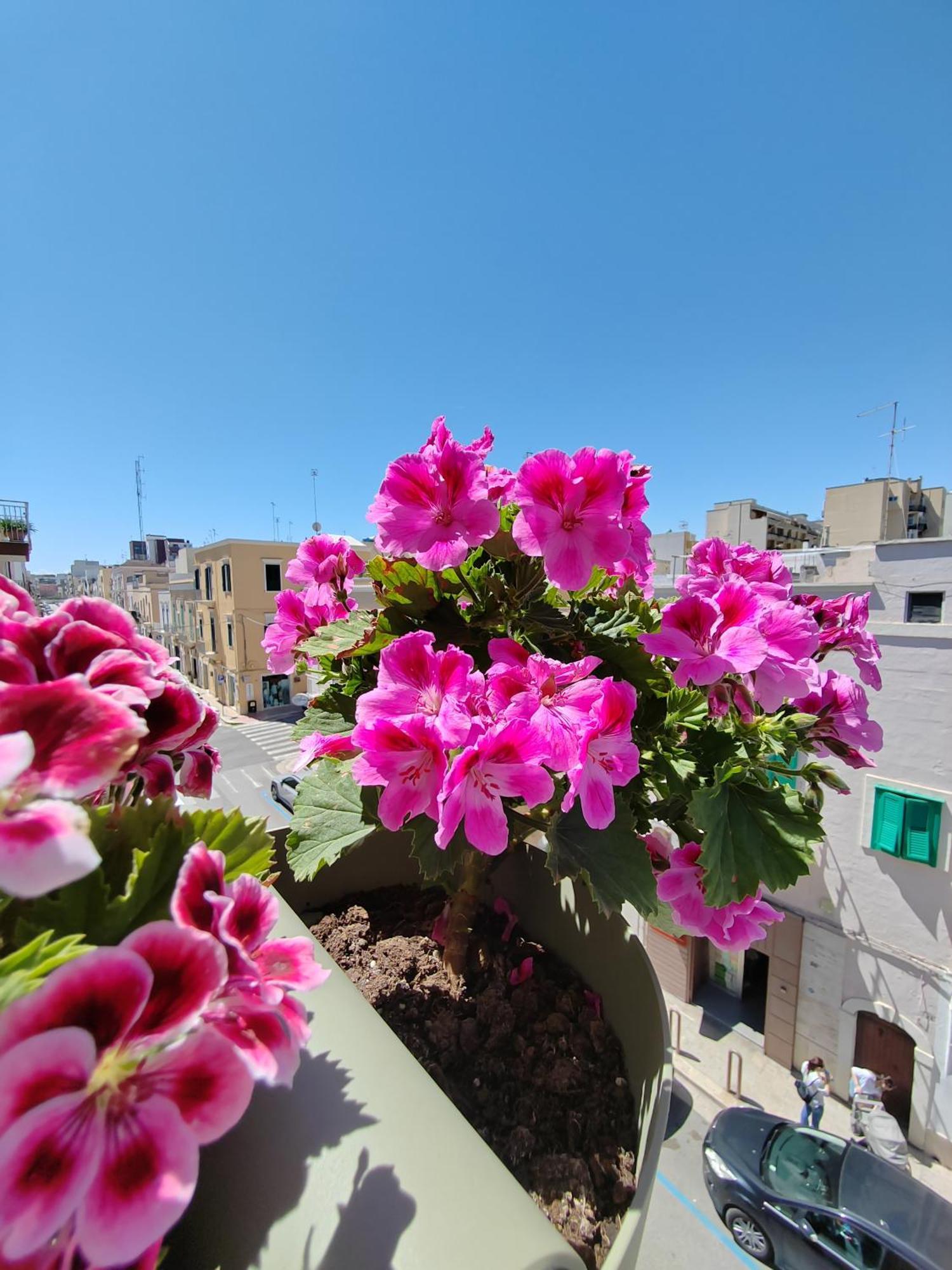 Apartament Palazzina Dimora Cavour Monopoli Zewnętrze zdjęcie